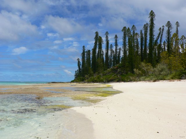 39- Plage de l'ilot Brosse 